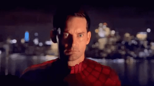 Spider-Man : The Manga - Into the Animeverse!