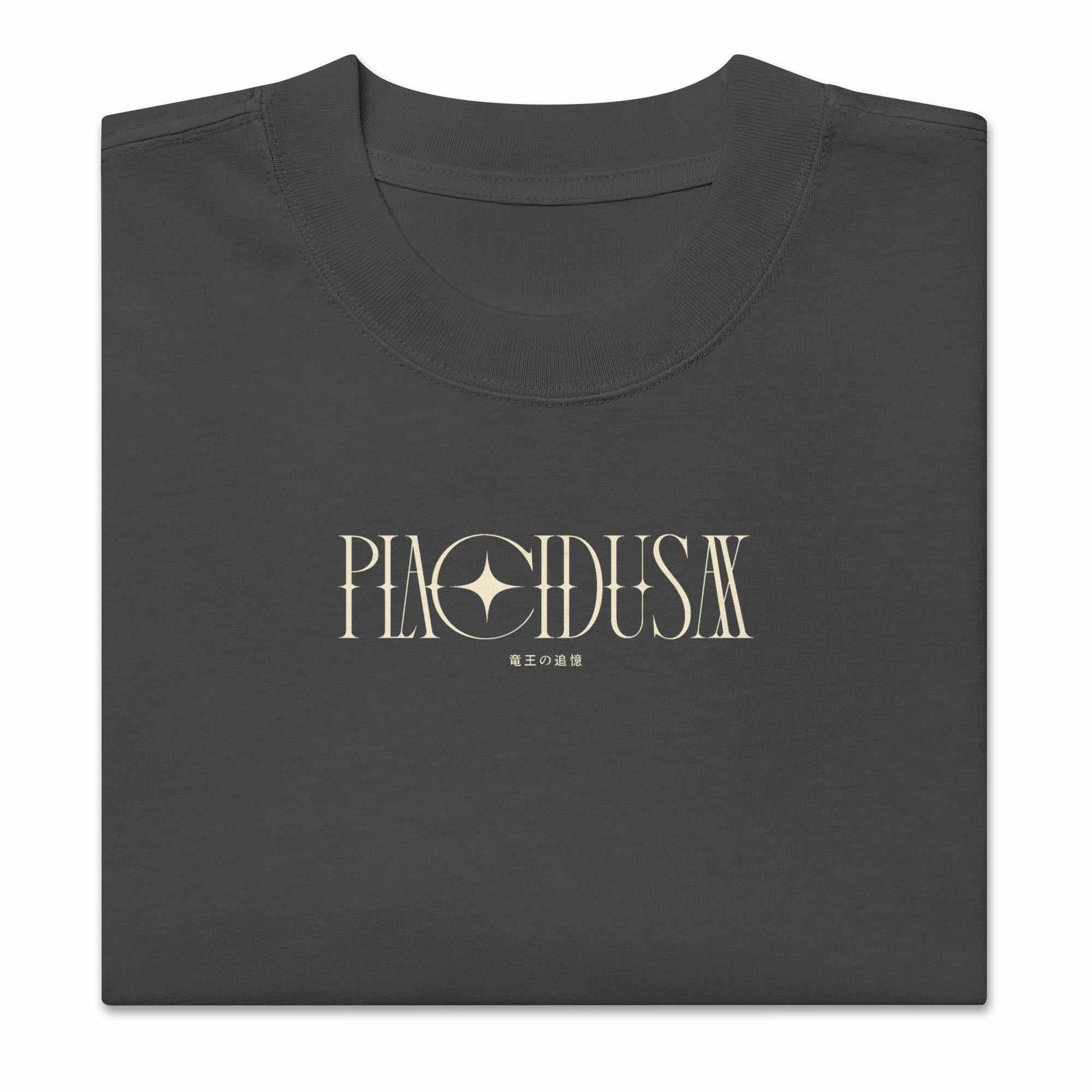 PLACIDUSAX - Oversized Heavy Tee-S-Iced Tea Aesthetics